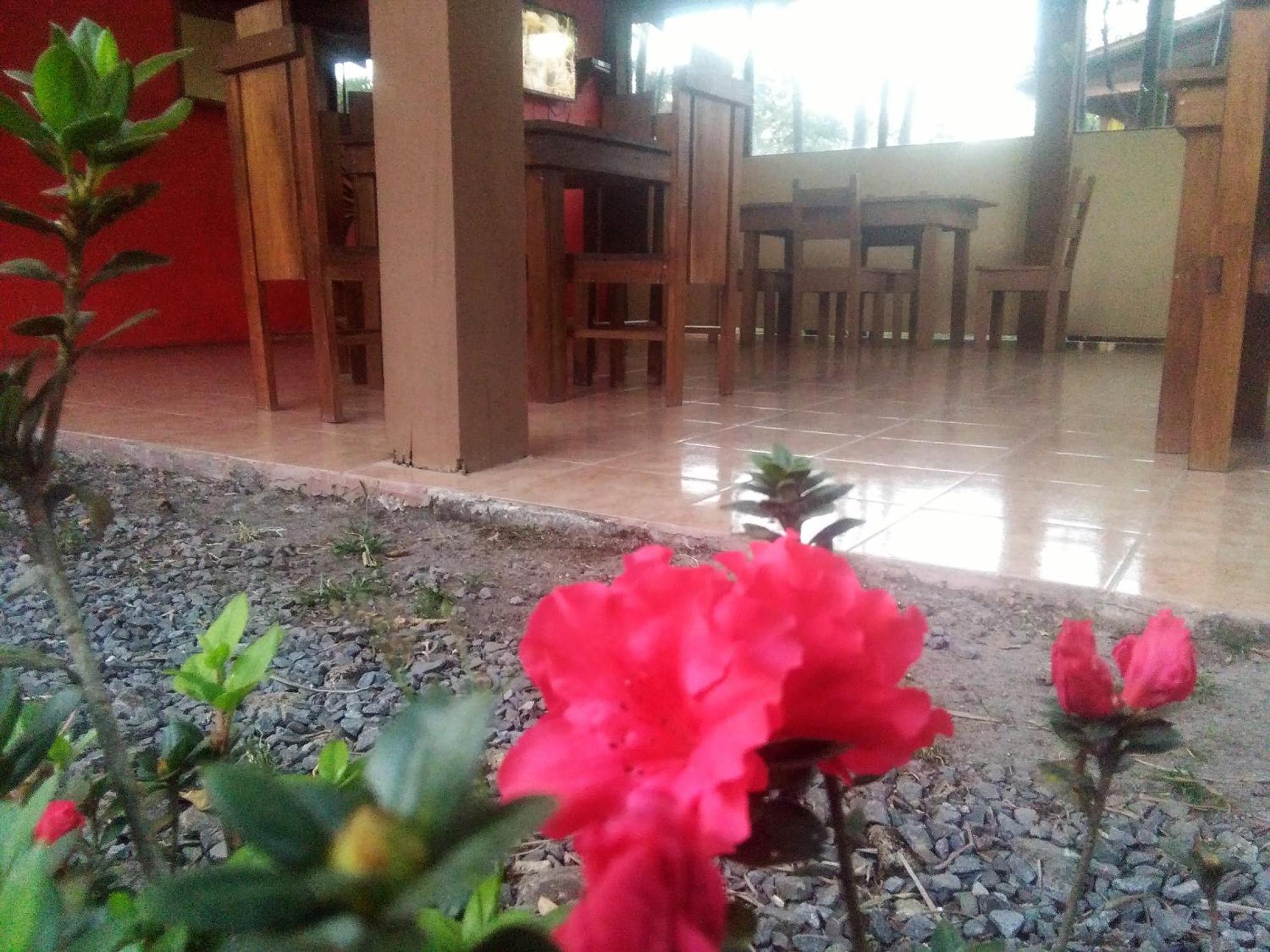 Slow Travel Lodge Упала Экстерьер фото